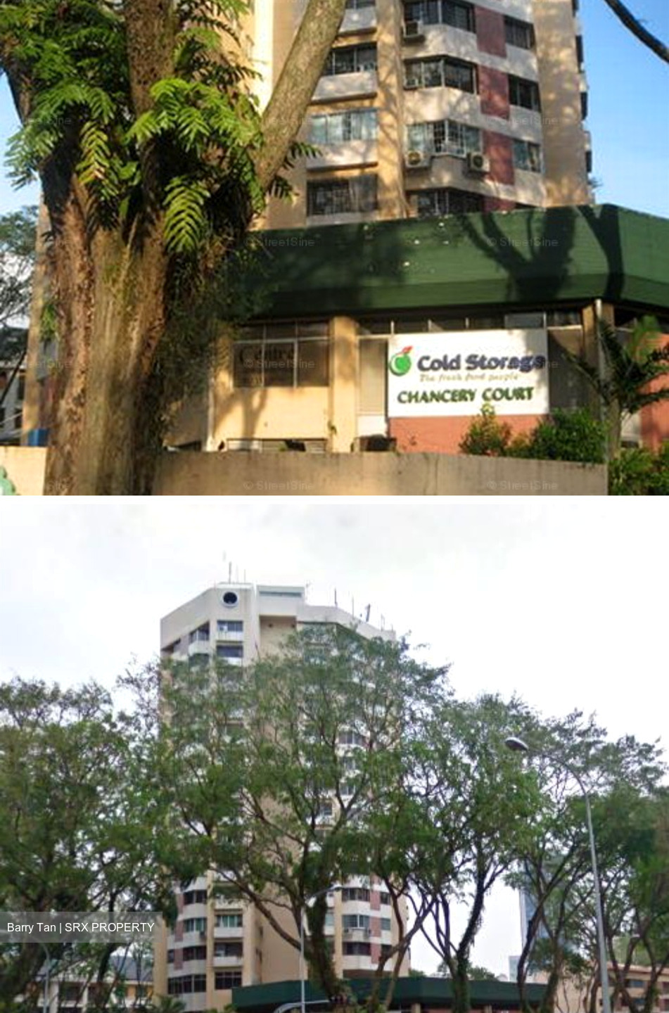 Dunearn Road (D11), Condominium #440309691